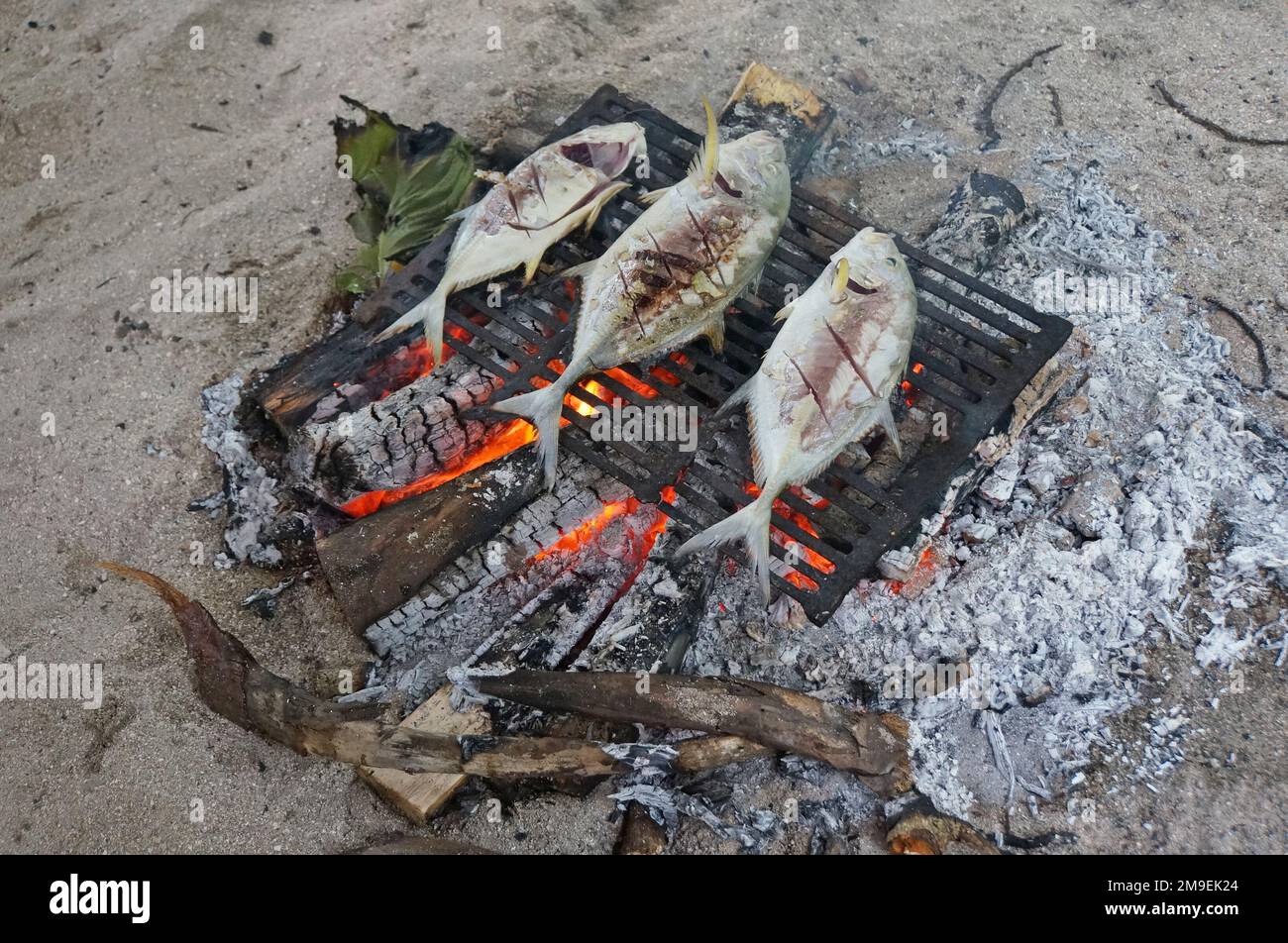 Vista de cerca de tres pescados recién capturados cocinando en carbones de leña en una playa de arena en Rarotonga, Islas Cook Foto de stock