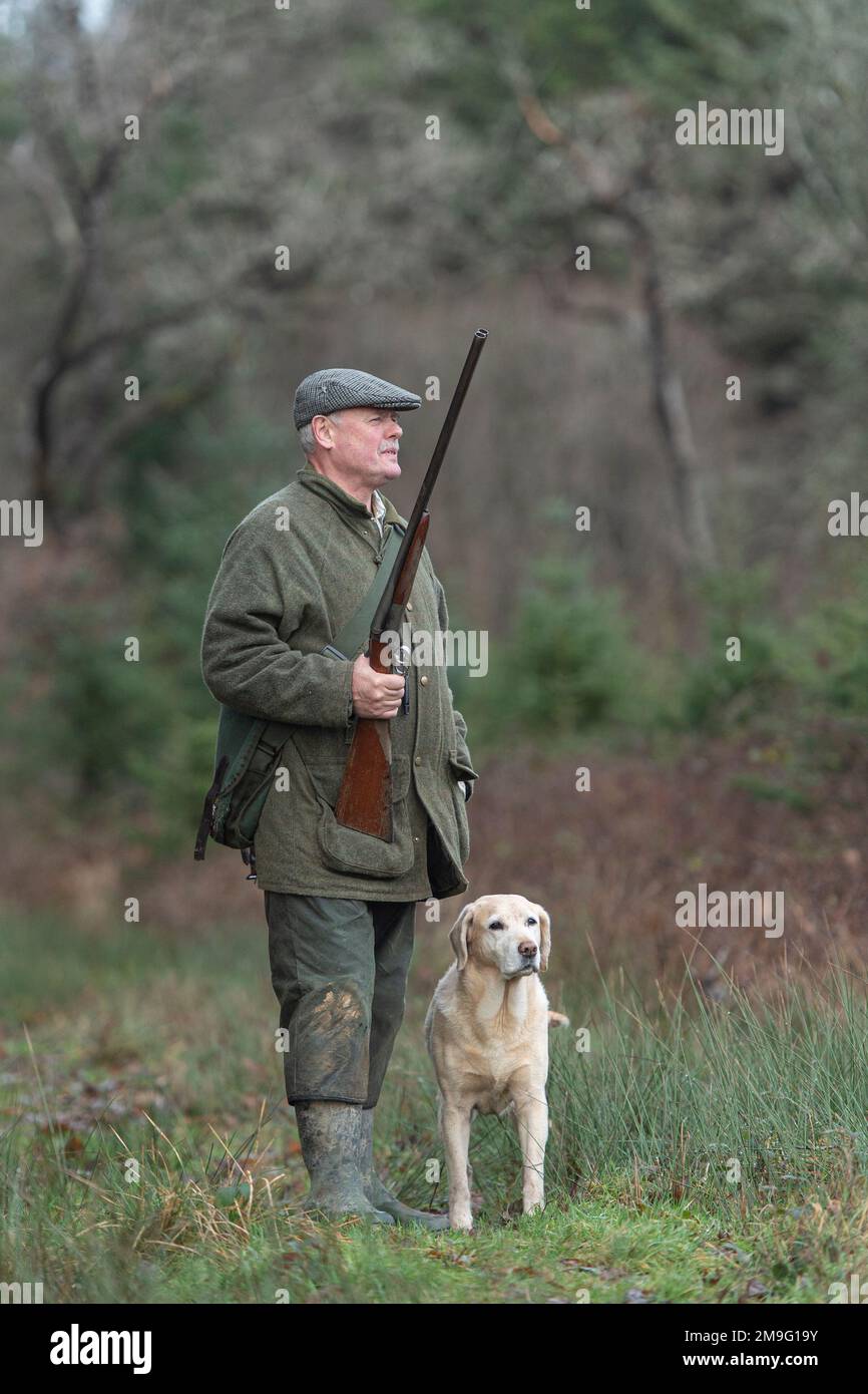 hombre áspero disparando en el bosque con un labrador Foto de stock