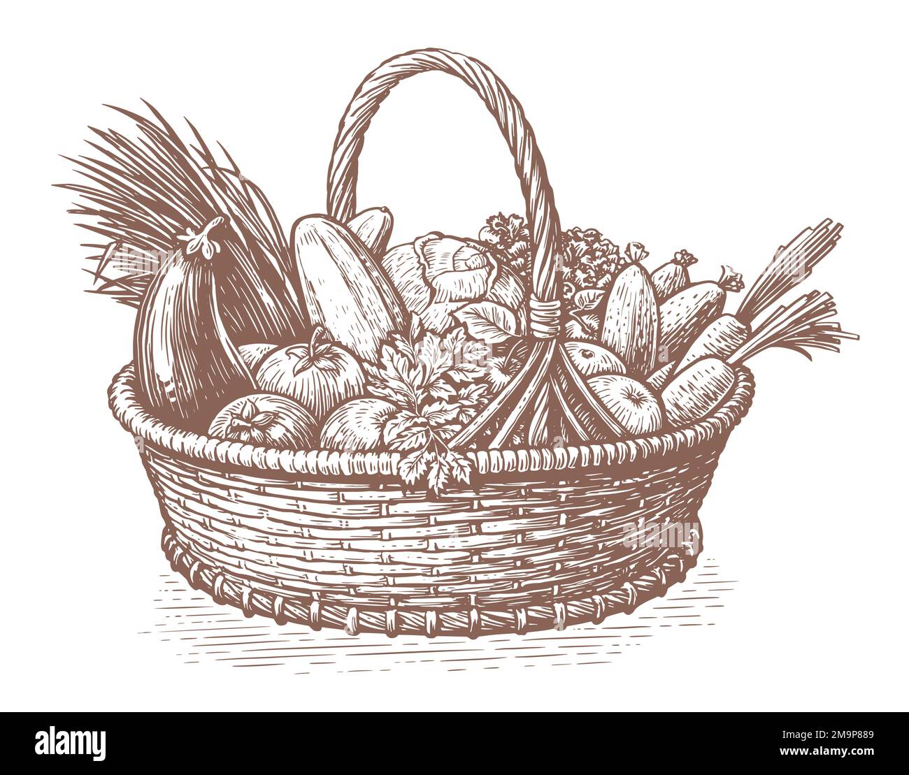 Cesta dibujada a mano llena de verduras frescas. Granja de alimentos orgánicos. Boceto vintage ilustración vectorial Ilustración del Vector