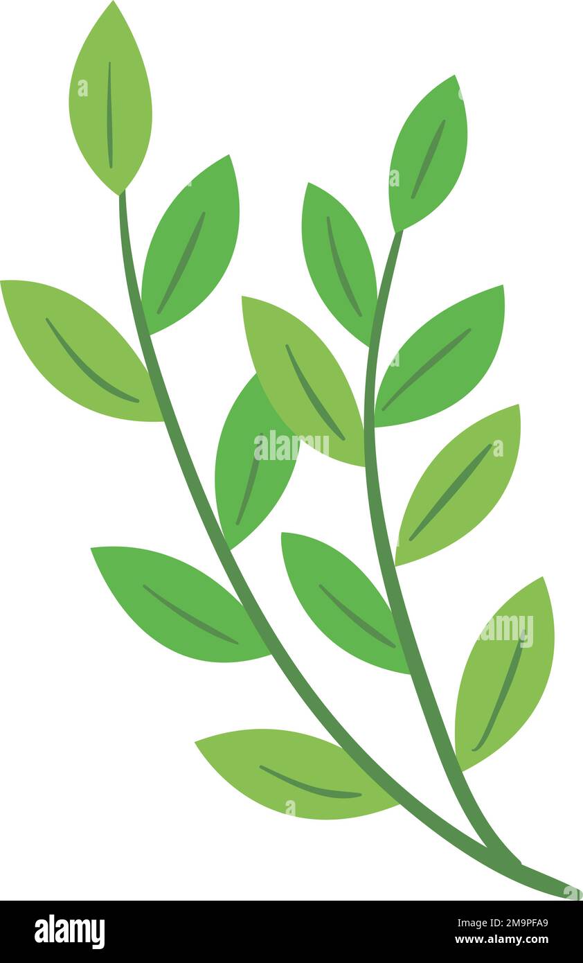 Rama de hojas verdes. Icono de planta de árbol de dibujos animados Imagen  Vector de stock - Alamy