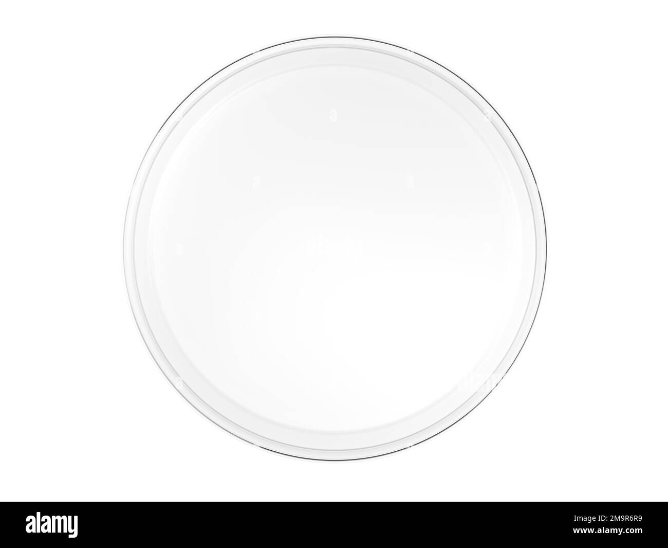 Plato de Petri aislado sobre fondo blanco. Vacío. Vista superior. 3d ilustración. Foto de stock