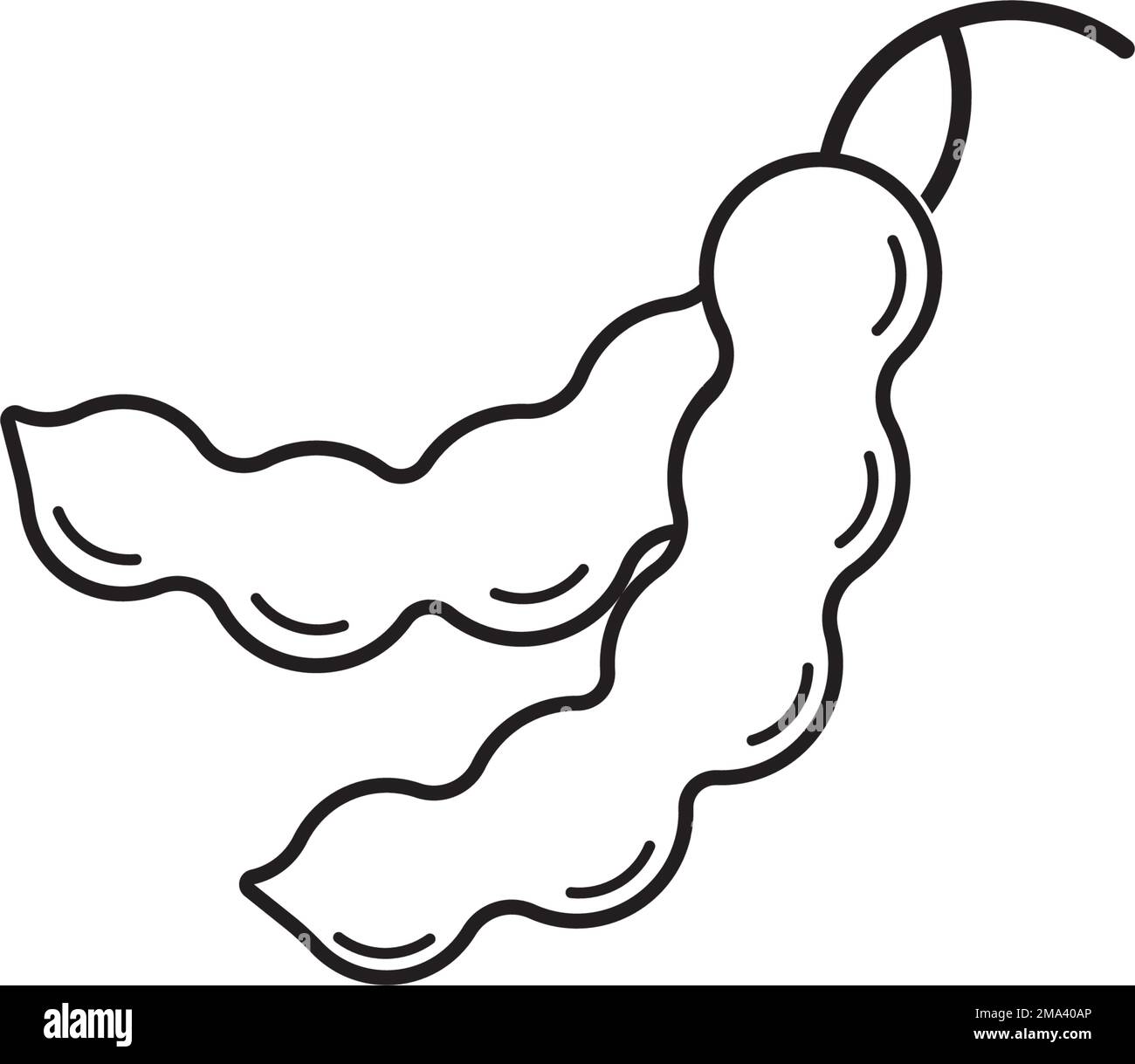 Hoja de tamarindo Imágenes de stock en blanco y negro Alamy