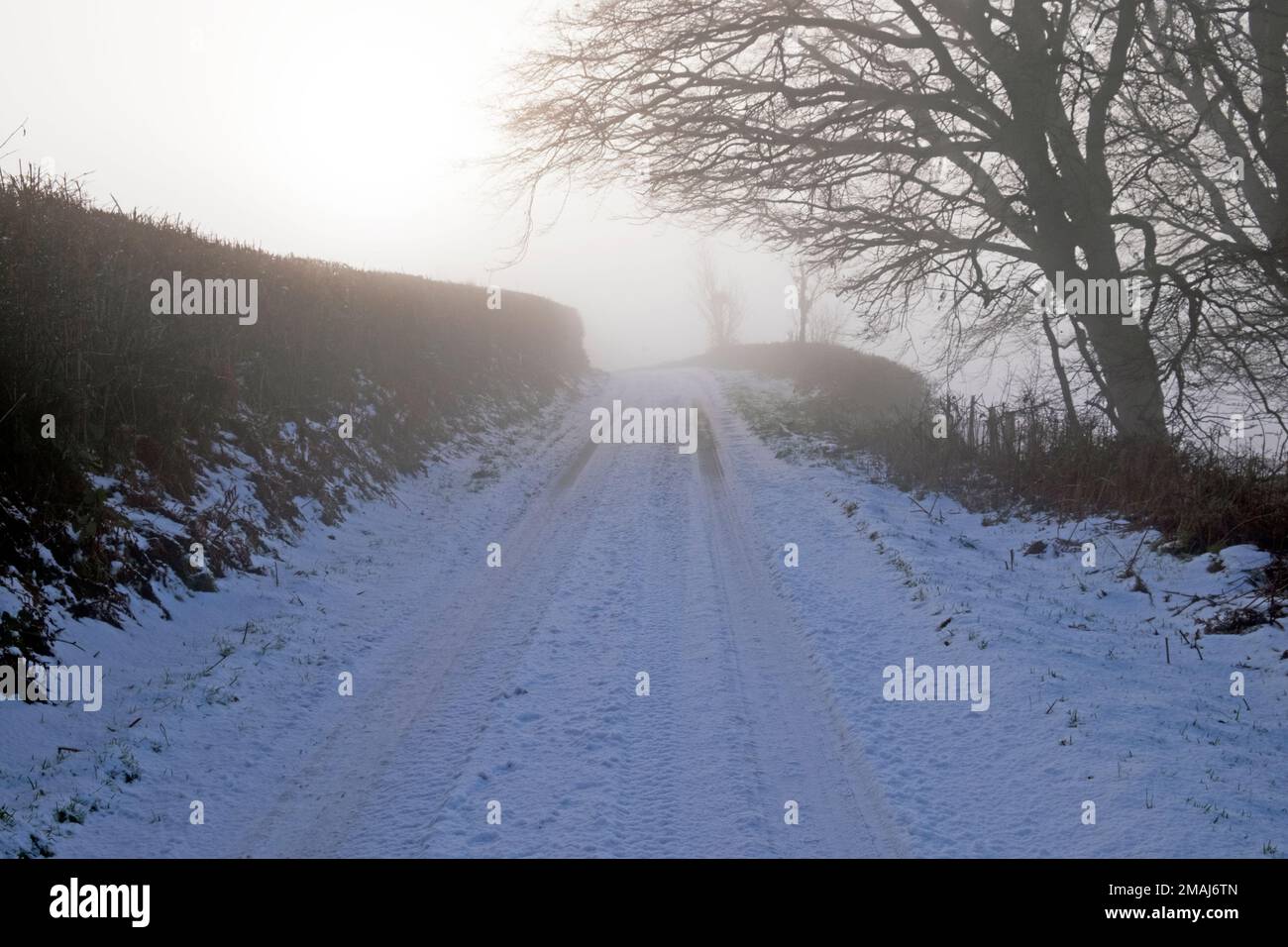 Hielo Niebla congelada y nieve congelada en el carril rural de la carretera en invierno Enero 2023 Carmarthenshire Gales Reino Unido Gran Bretaña KATHY DEWITT Foto de stock