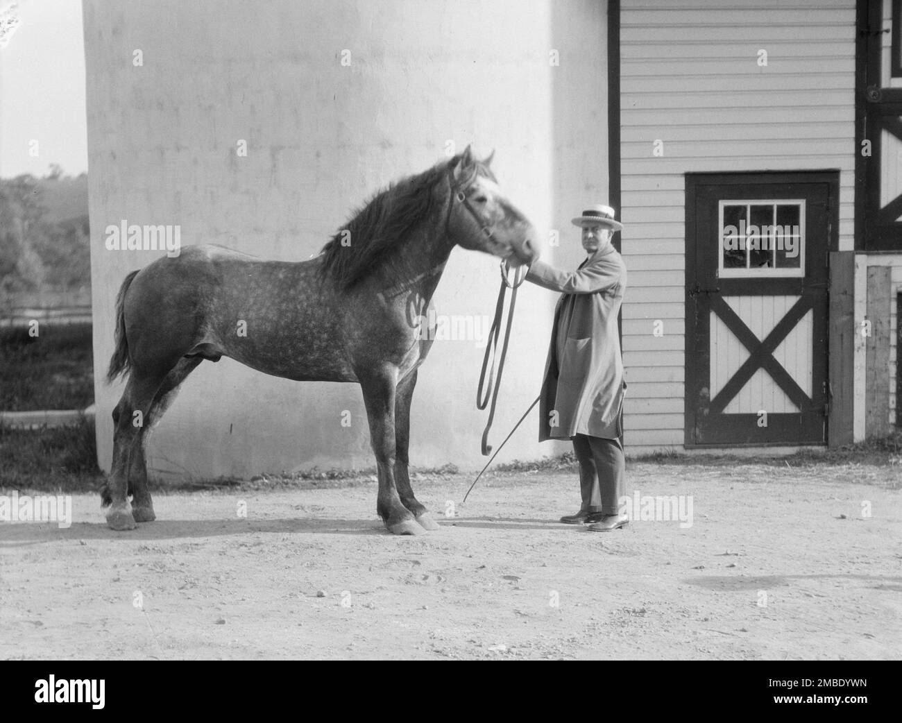 Watson, Thomas J., con el caballo Percheron, entre 1923 y 1929. Foto de stock