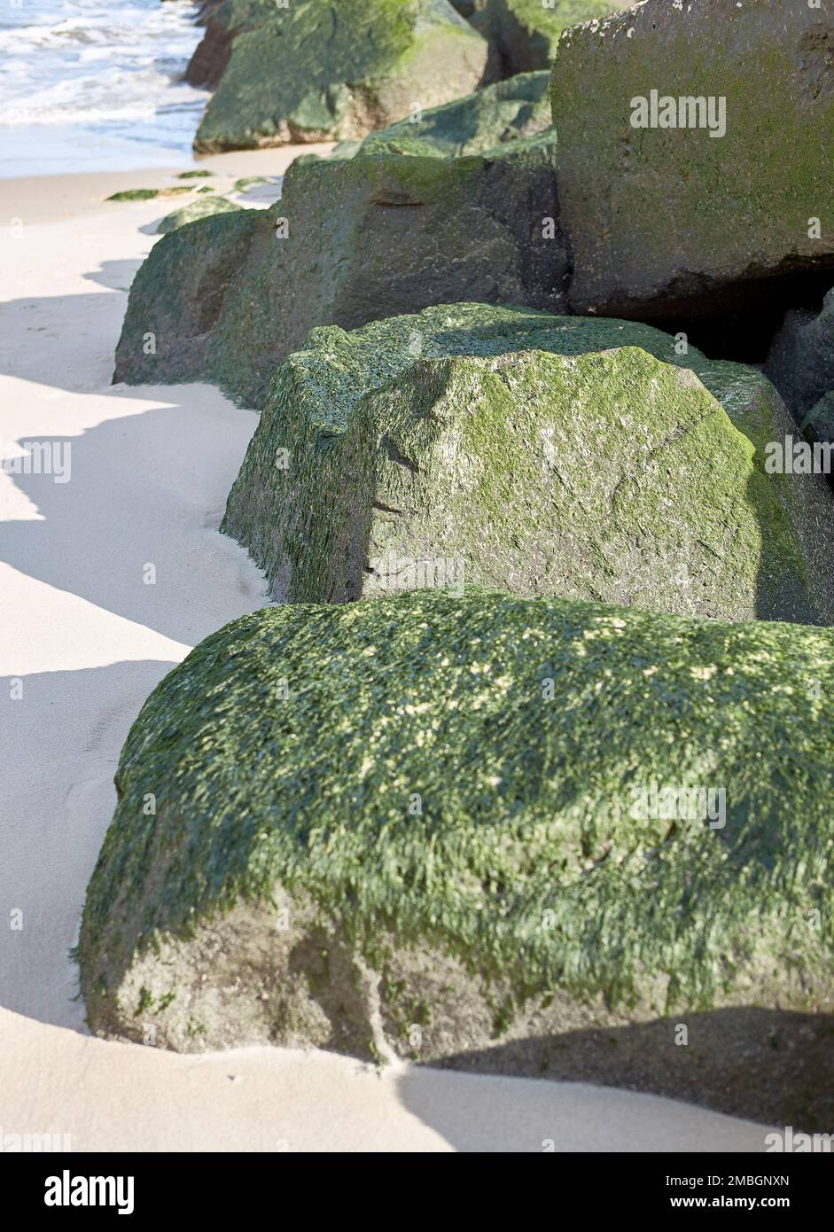 Piedras Recubiertas De Algas En El Mar, Cerca Del Musgo Marino Verde Imagen  de archivo - Imagen de fresco, crecimiento: 159552139