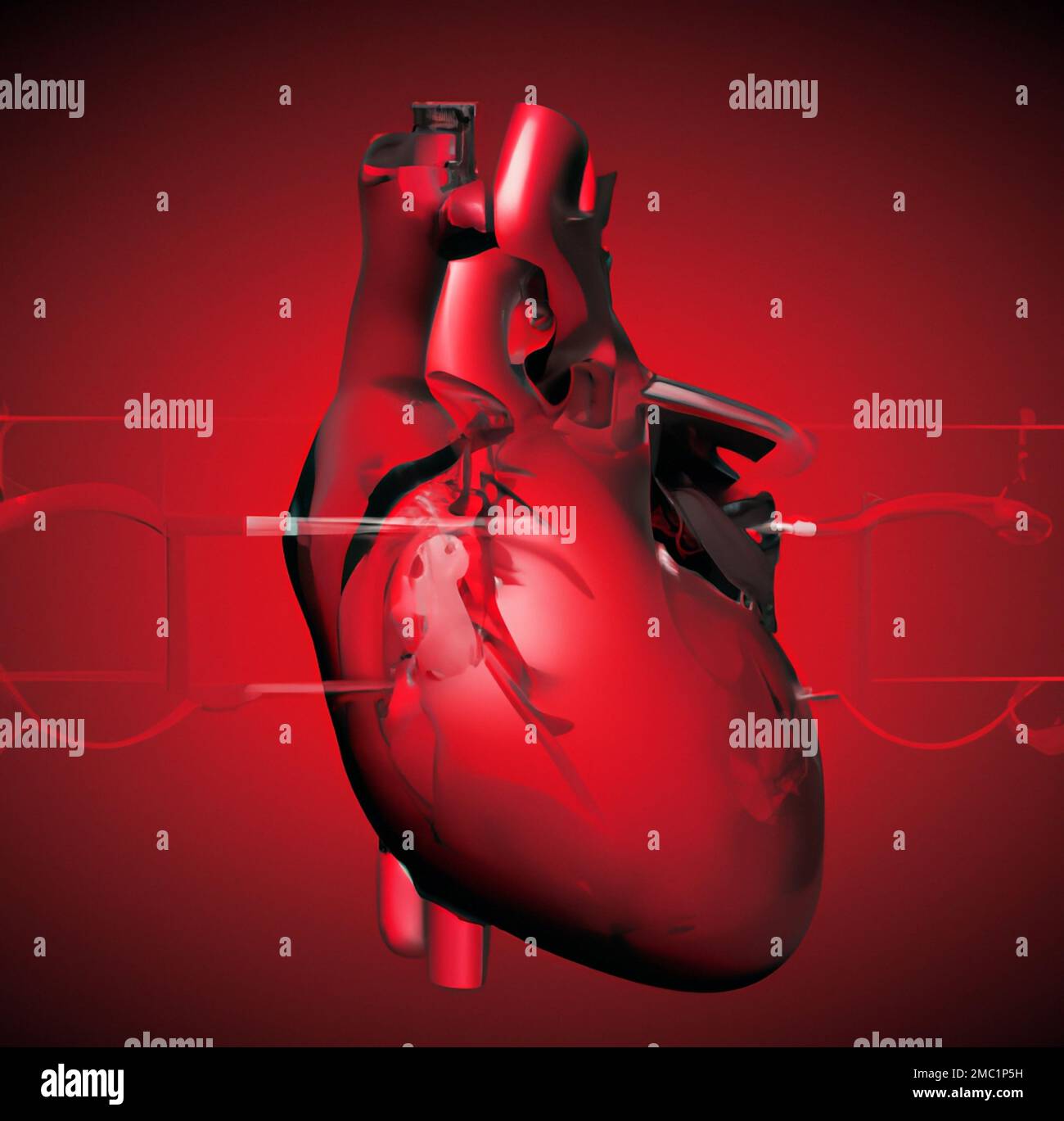 Corazón Humano Ilustración 3d Aislados Contiene Trazado De Recorte Fotografía De Stock Alamy 6385