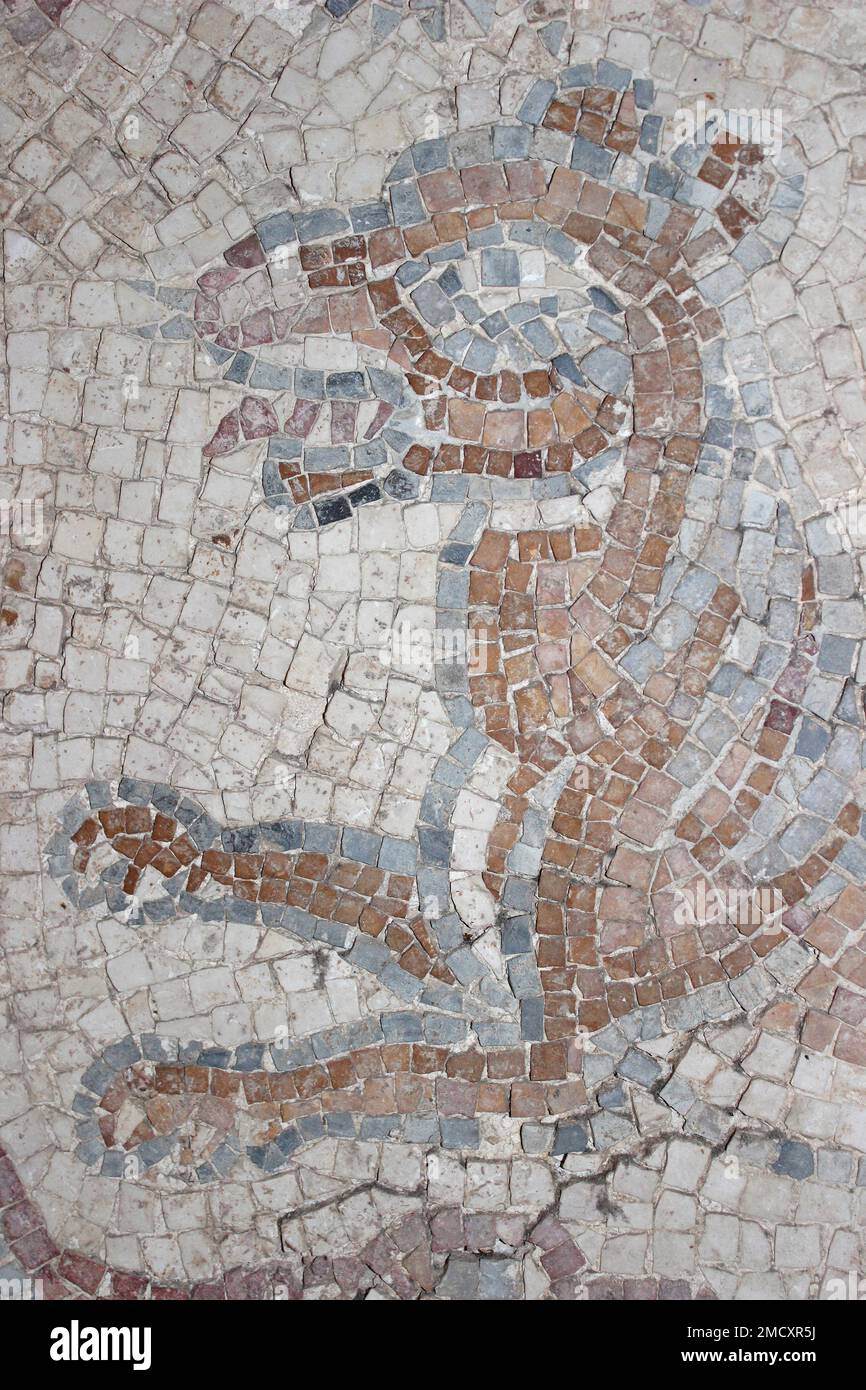 Castillo Ajloun, Jordania - Mosaico bizantino de un león Foto de stock