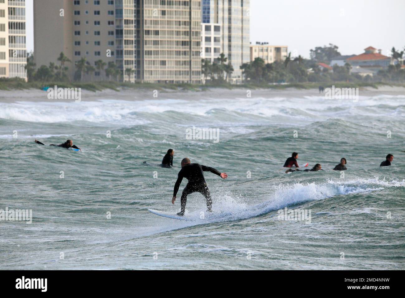 surfers, venice beach, florida, usa Foto de stock