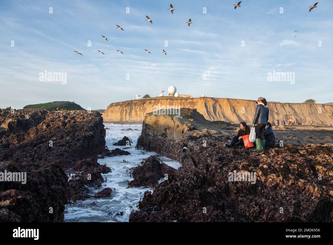 El acantilado de Pilar Point en el área de la bahía de San Francisco de California es un lugar popular para el mareo y la recolección de vida marina. Foto de stock