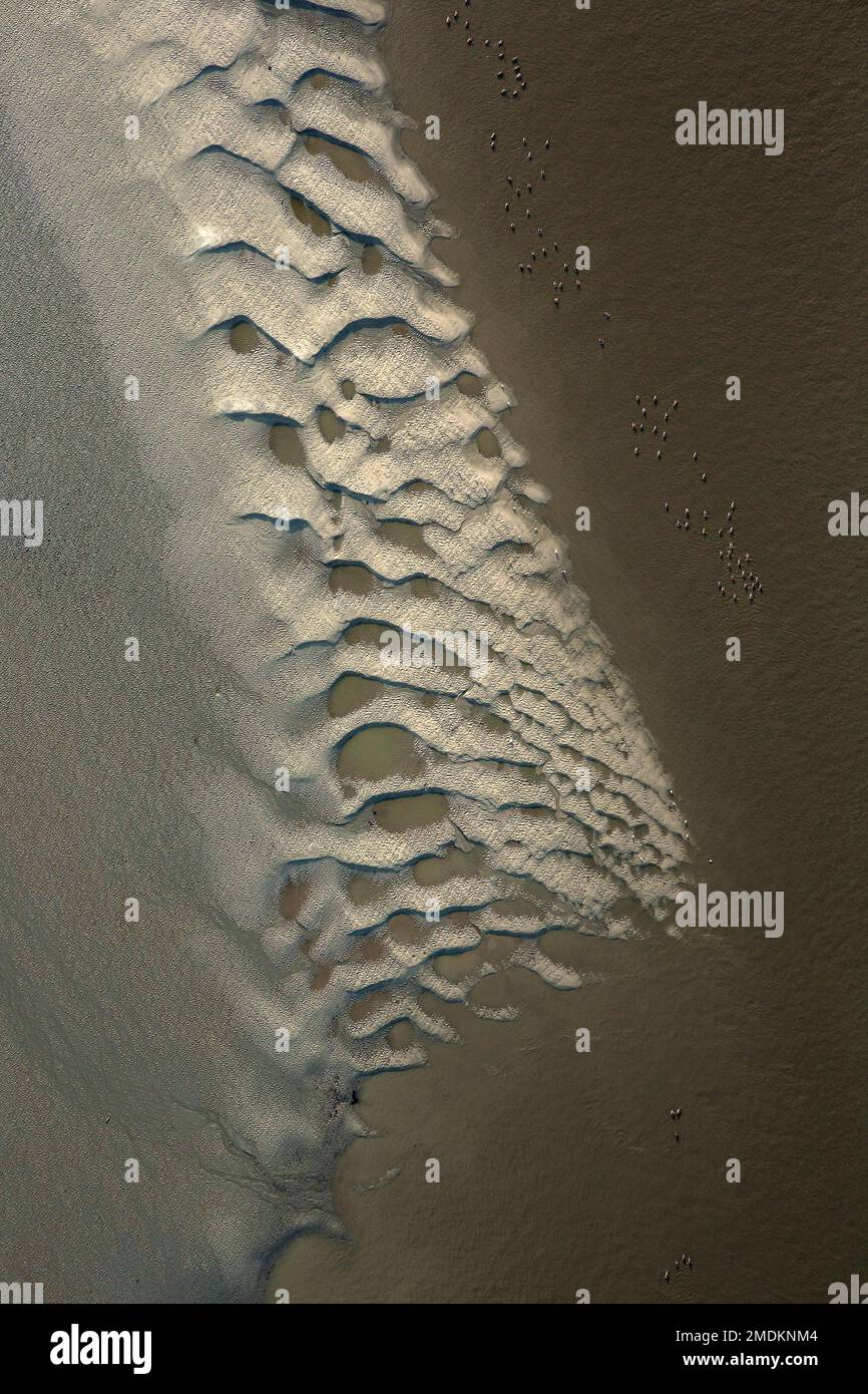 Banco de arena en el río Escalda, vista aérea, Bélgica, Flandes Oriental, Zeeschelde, Temse Foto de stock