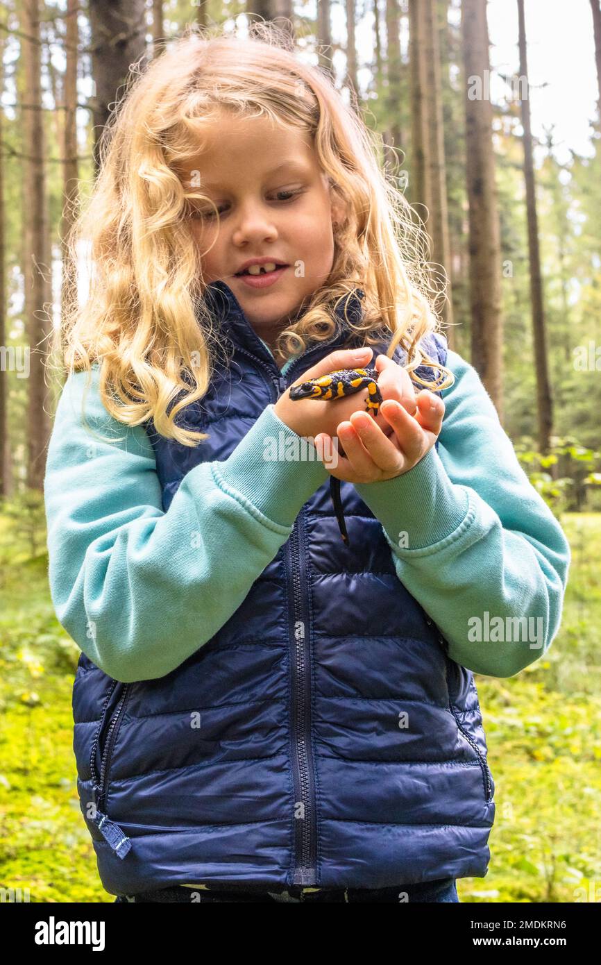 Salamandra de fuego europeo (Salamandra salamandra), niña con salamandra en sus manos Foto de stock