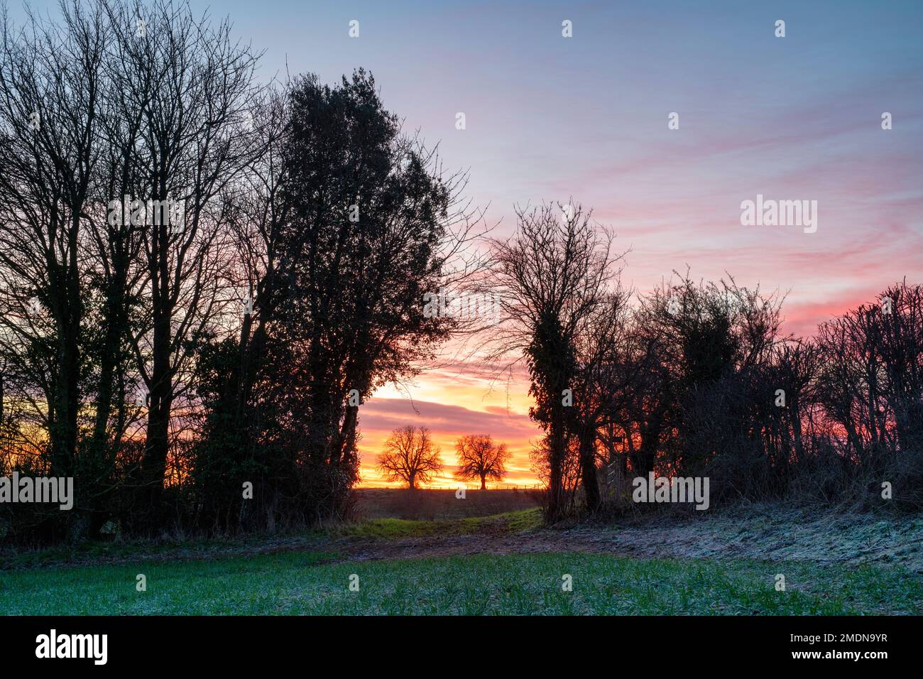 Amanecer de invierno en el campo de oxfordshire cerca de Swacliffe. Oxfordshire, Inglaterra Foto de stock