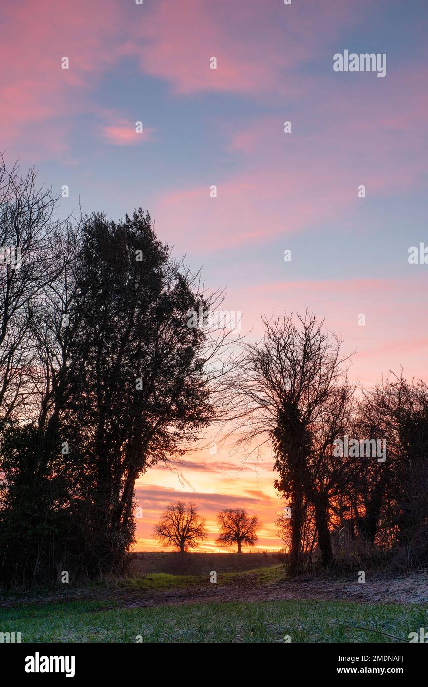 Amanecer de invierno en el campo de oxfordshire cerca de Swacliffe. Oxfordshire, Inglaterra Foto de stock