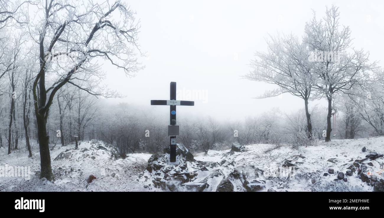 Invierno en el bosque helado en la niebla, bosques de los cárpatos de Eslovaquia Foto de stock