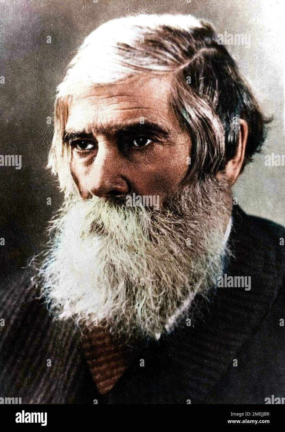 Retrato de Vladimir Mikhailvitch Bekhterev ou Bechterew (Bekhterev, Bechterew, Bekhtereff) (1857-1927) Neurologue Russe. Foto de stock