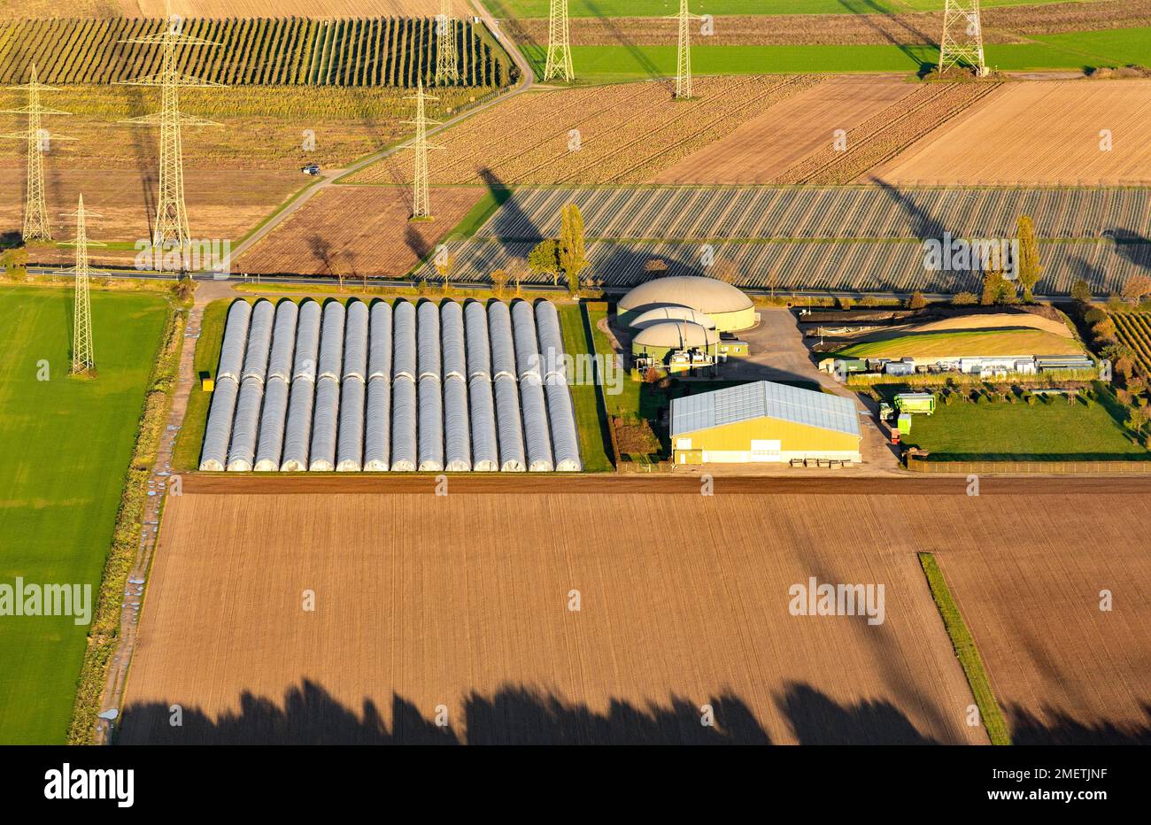 Planta de biogás y líneas eléctricas de alta tensión, Sechtem, Bornheim, Renania del Norte-Westfalia, Alemania Foto de stock