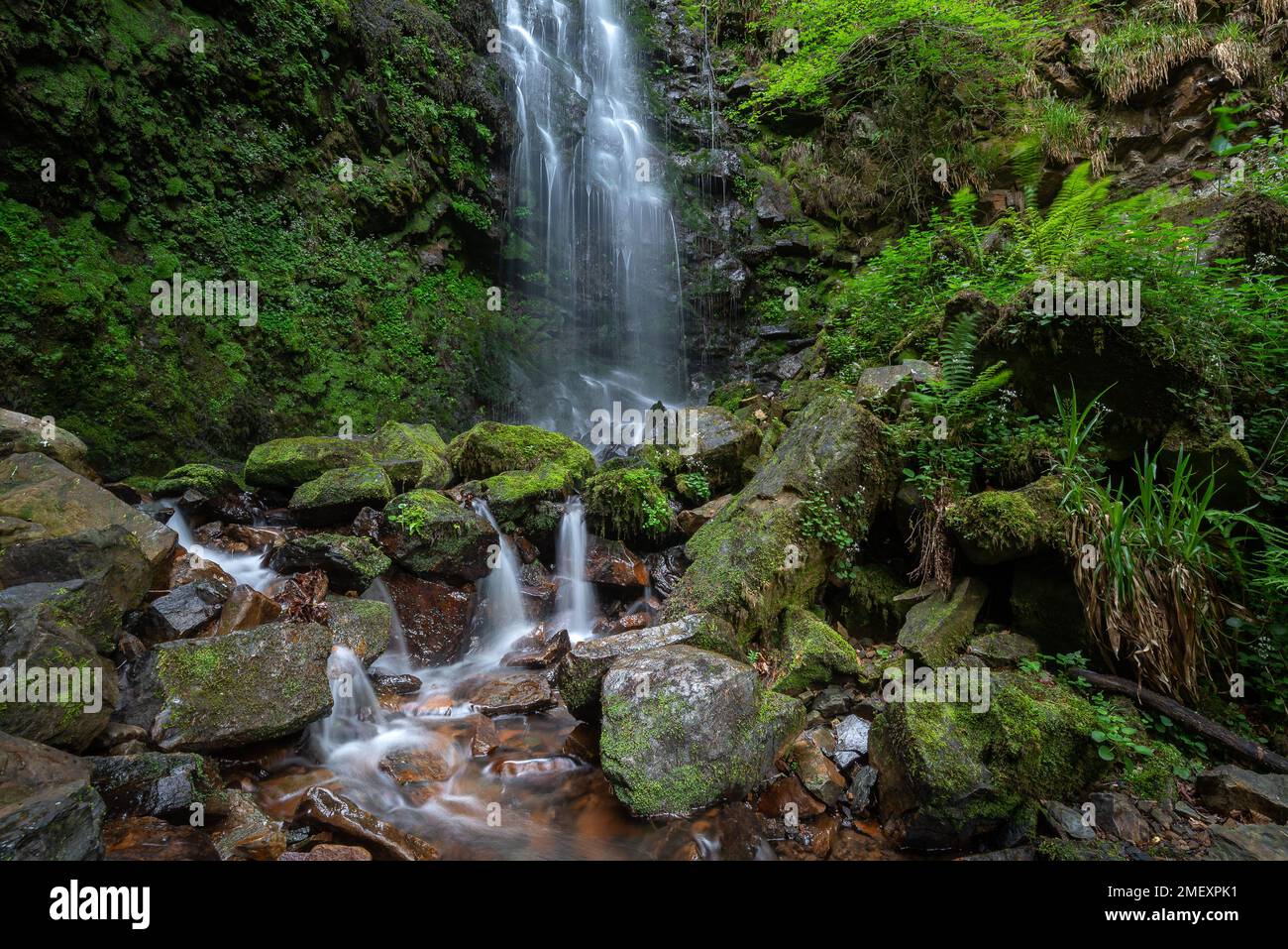 Cascada de hayedo Belaustegi, Parque Natural del Gorbea, Vizcaya, España Foto de stock