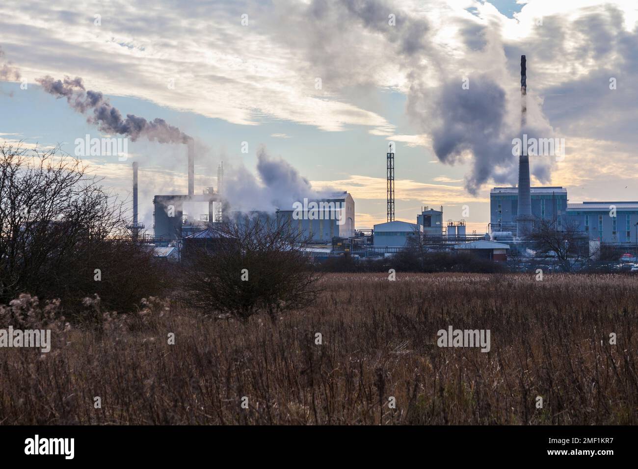 Las chimeneas de fumar de la fábrica de materiales Venator en Greatham, fabricantes de Hartlepool.Pigment Foto de stock