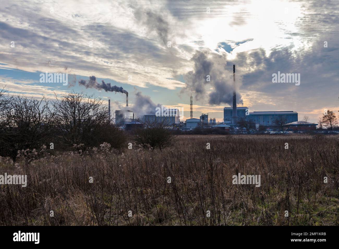 Las chimeneas de fumar de la fábrica de materiales Venator en Greatham, fabricantes de Hartlepool.Pigment Foto de stock