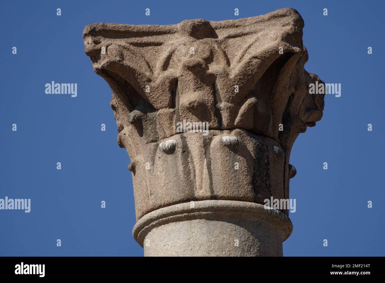 La Columna de Pompeyo y la esfinge sitio del templo de Serapide en el trimestre Karmous en el suroeste de la ciudad de Alejandría, Egipto Foto de stock