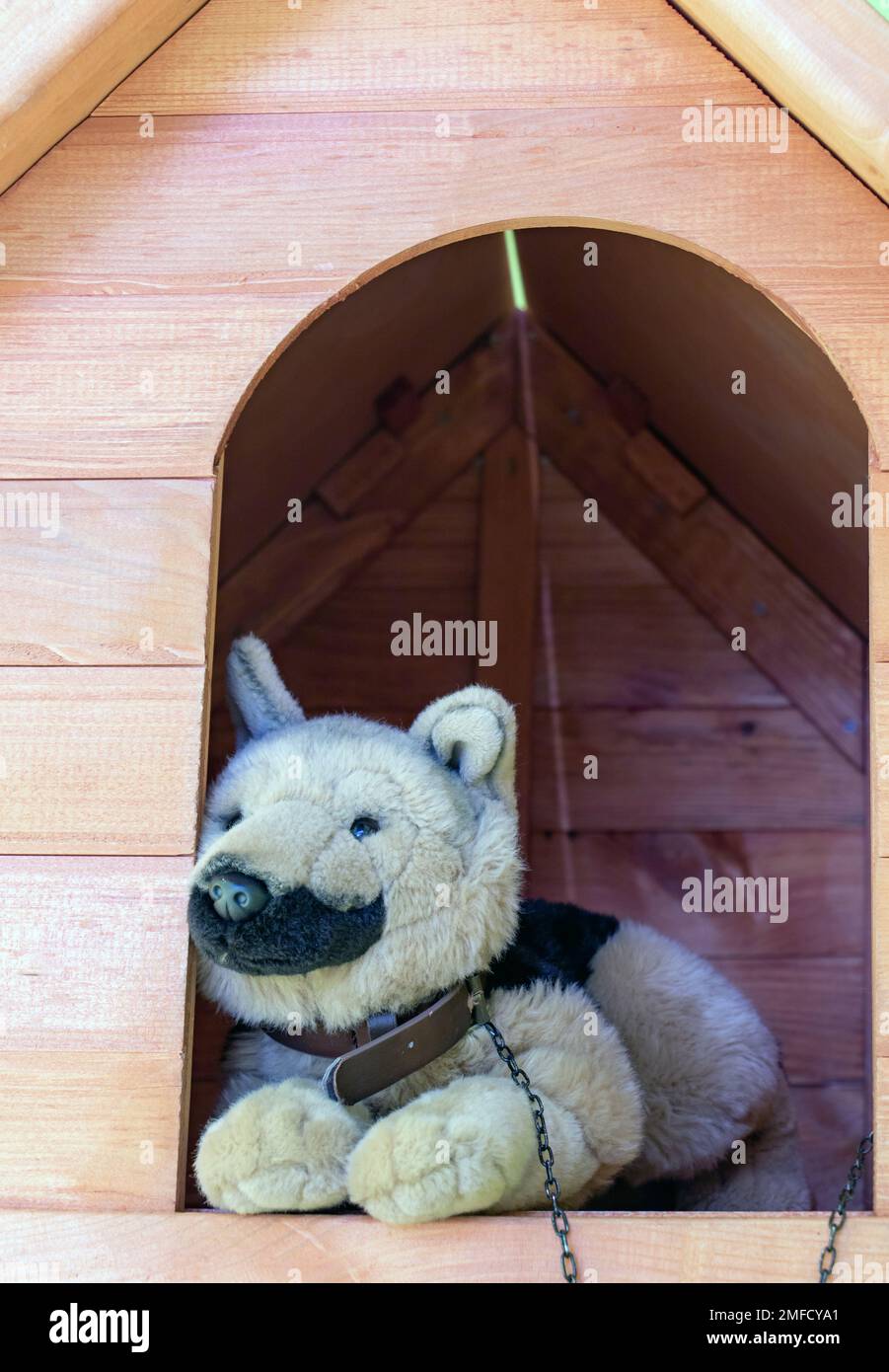 El perro de peluche se encuentra en la caseta Foto de stock