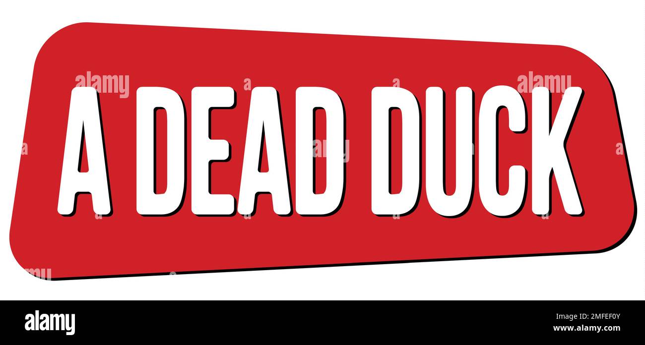 Pato muerto Imágenes recortadas de stock - Alamy Pato muerto Imágenes recortadas de stock - Alamy