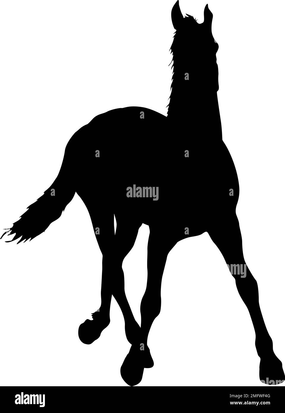 Silueta de caballo mustang negro ilustración vectorial Ilustración del Vector