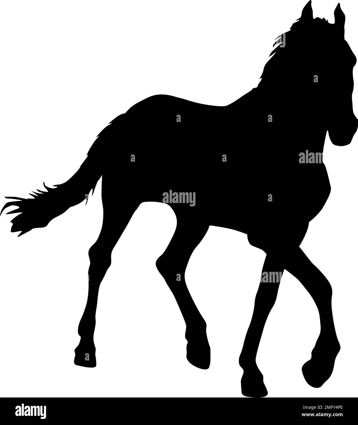 Silueta de caballo mustang negro ilustración vectorial Ilustración del Vector