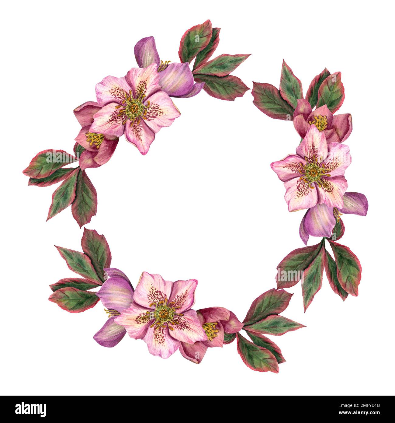 Guirnalda de flores rosas románticas aisladas imágenes prediseñadas