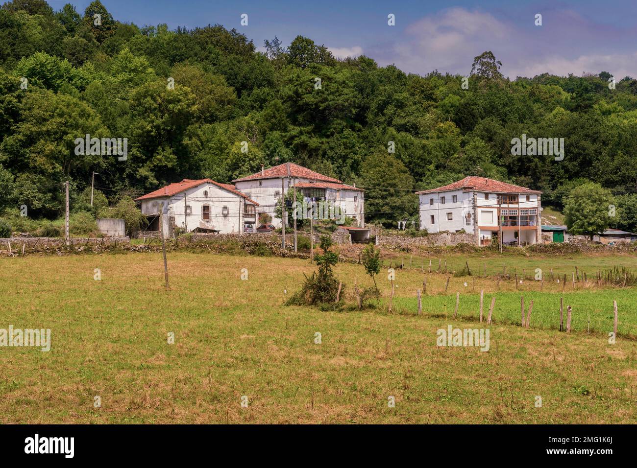 Tres grandes casas de campo individuales con su huerto y un bosque de árboles al fondo típico de Cantabria en el norte de España Foto de stock