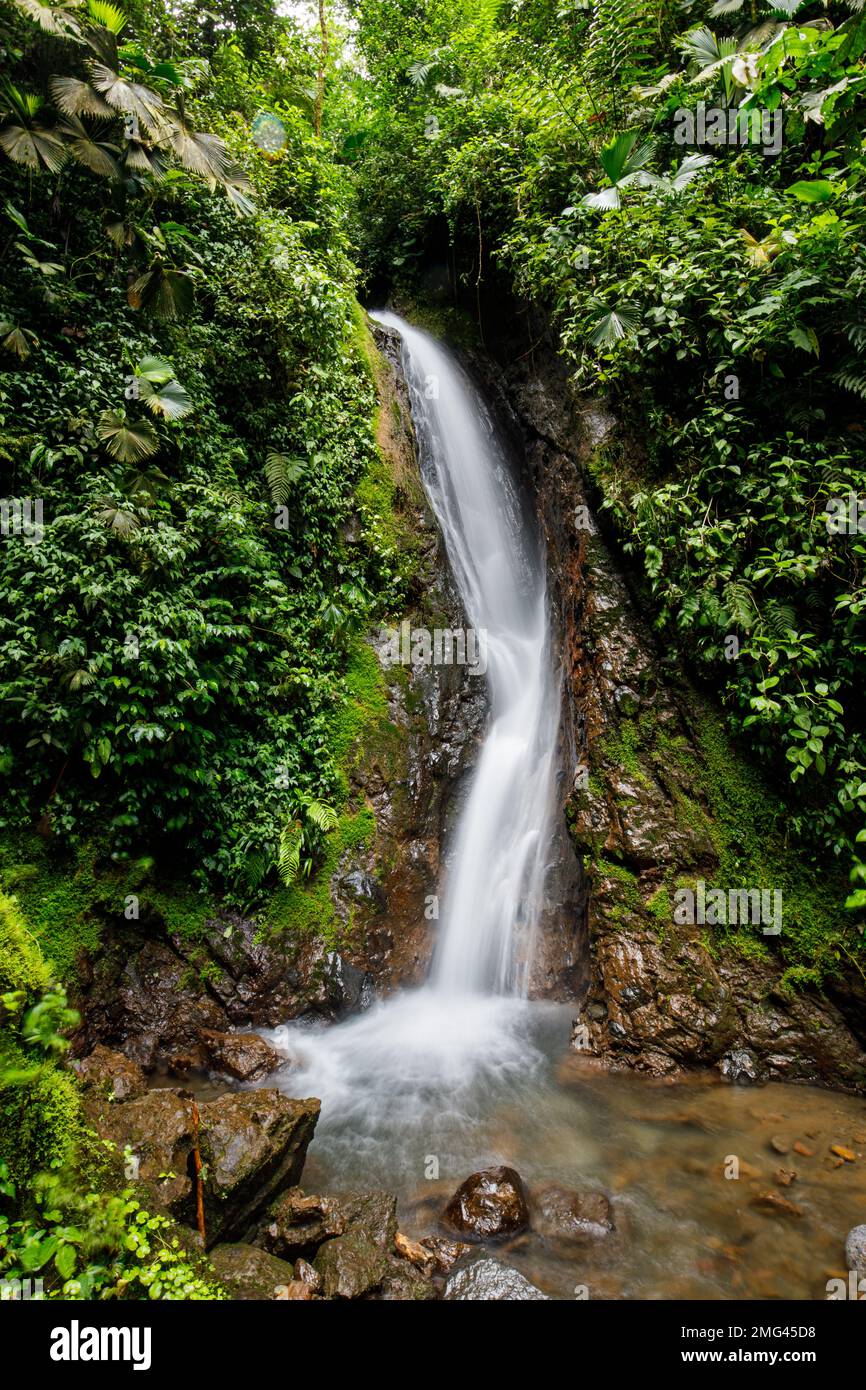Cascada en el Parque de Puentes Colgantes Mistico Arenal, Provincia de Alajuela, Costa Rica. Foto de stock