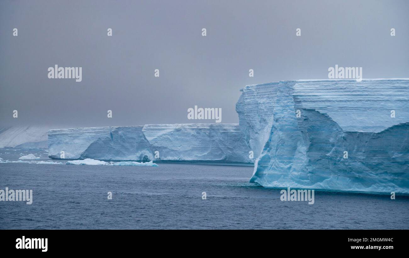 Deriva tabular del iceberg en el sonido antártico, Antártida. Foto de stock