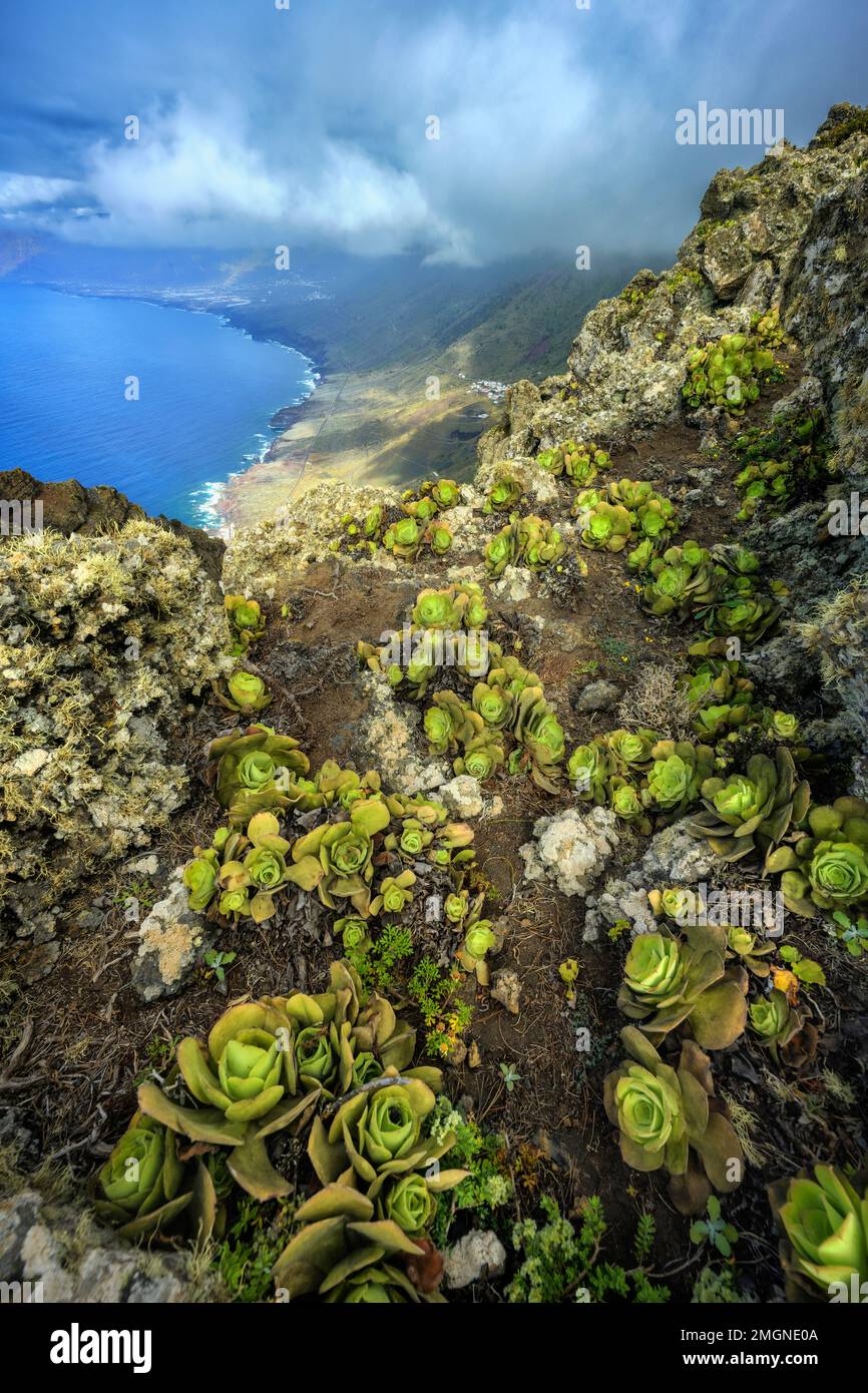 Caldera de El Golfo, en la isla de El Hierro en las Islas Canarias. Enorme colapso en el norte de la isla, a más de 1500 m de altura. En primer plano Foto de stock