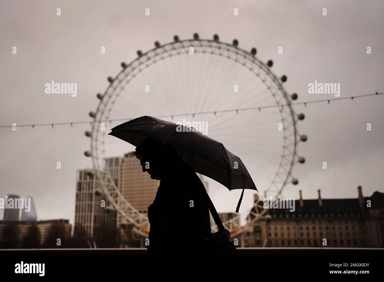 Un hombre se cubre contra el clima húmedo y ventoso en el terraplén frente al London Eye en el centro de Londres. Fecha de la fotografía: Jueves 26 de enero de 2023. Foto de stock