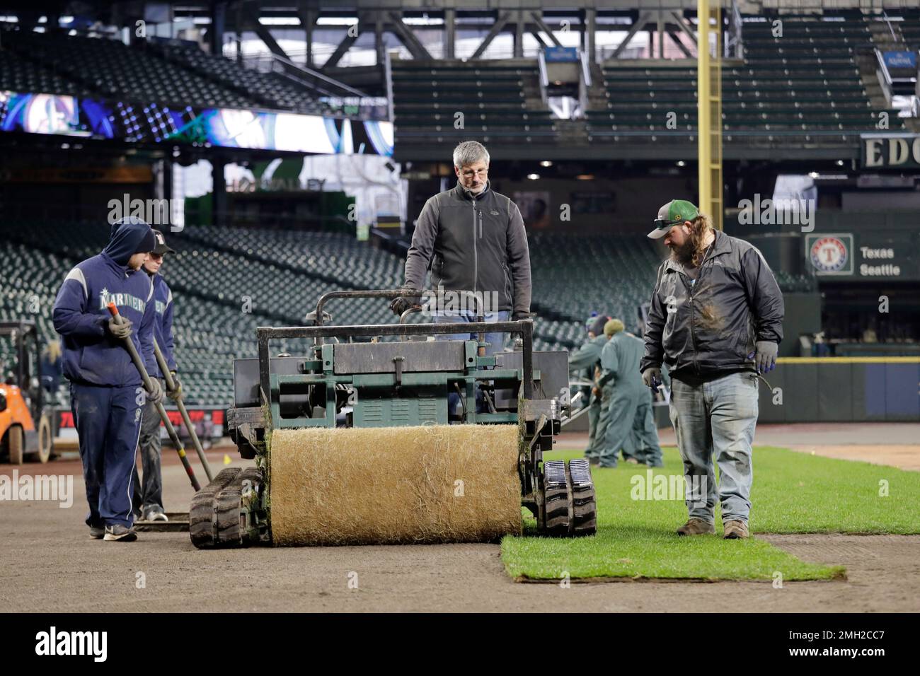 Country Green Turf Farms workers and Seattle Mariners grounds crew