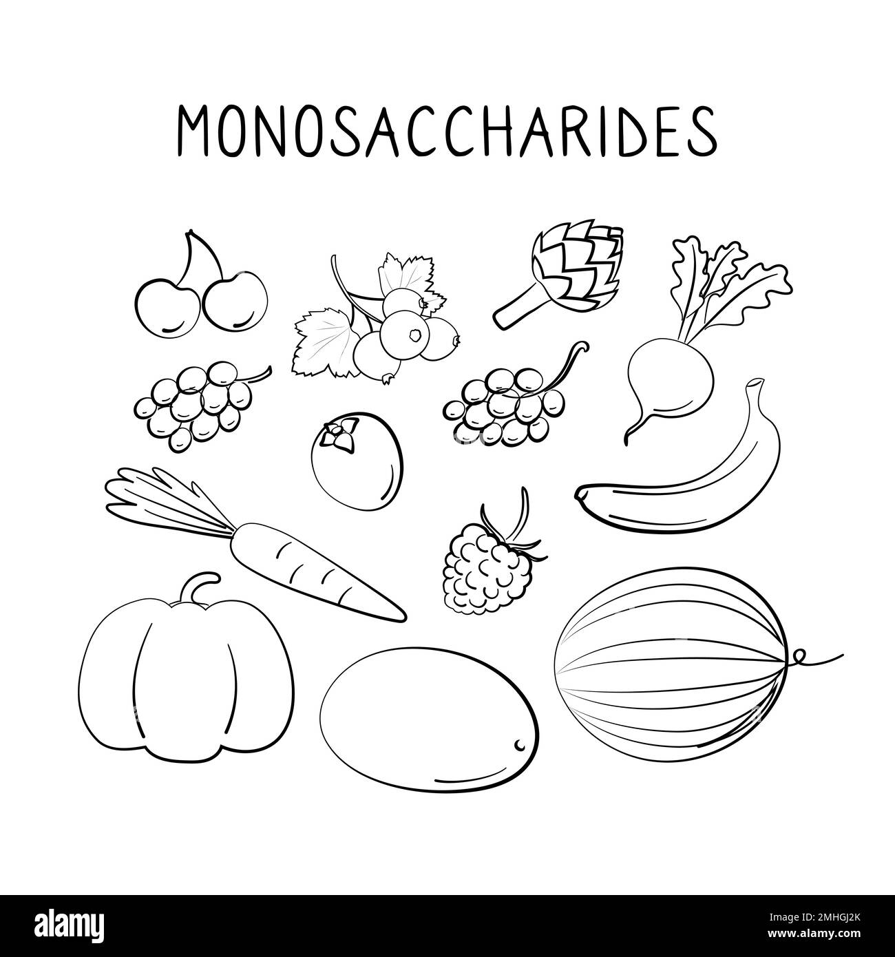 Alimentos que contienen monosacáridos. Grupos de productos saludables que contienen vitaminas y