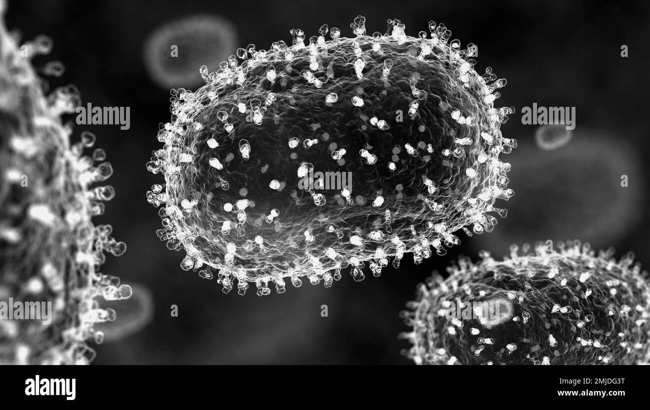 Partículas de virus Mpox, ilustración Foto de stock