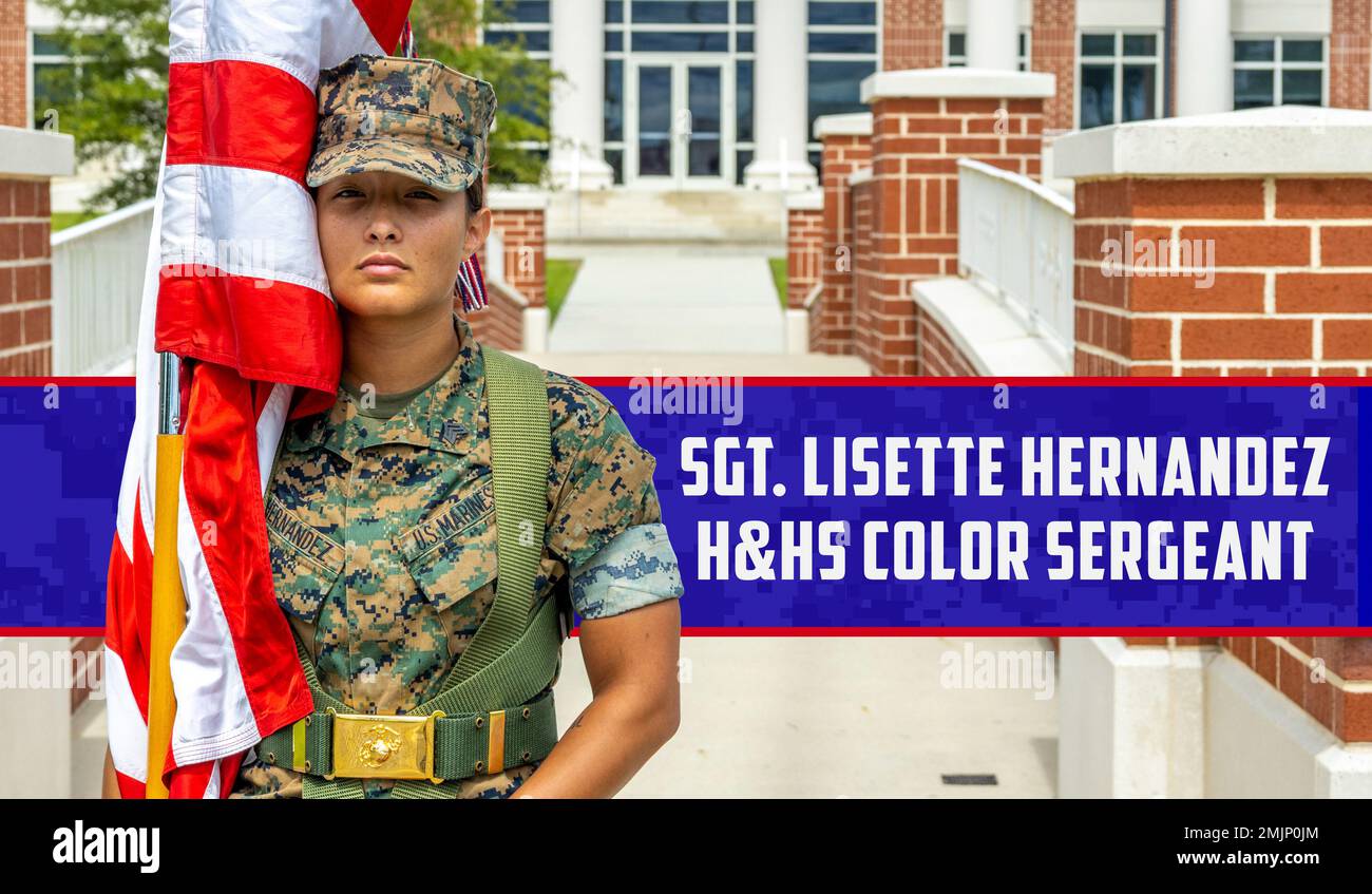 1017 jefe de escuadrón de ladrillos