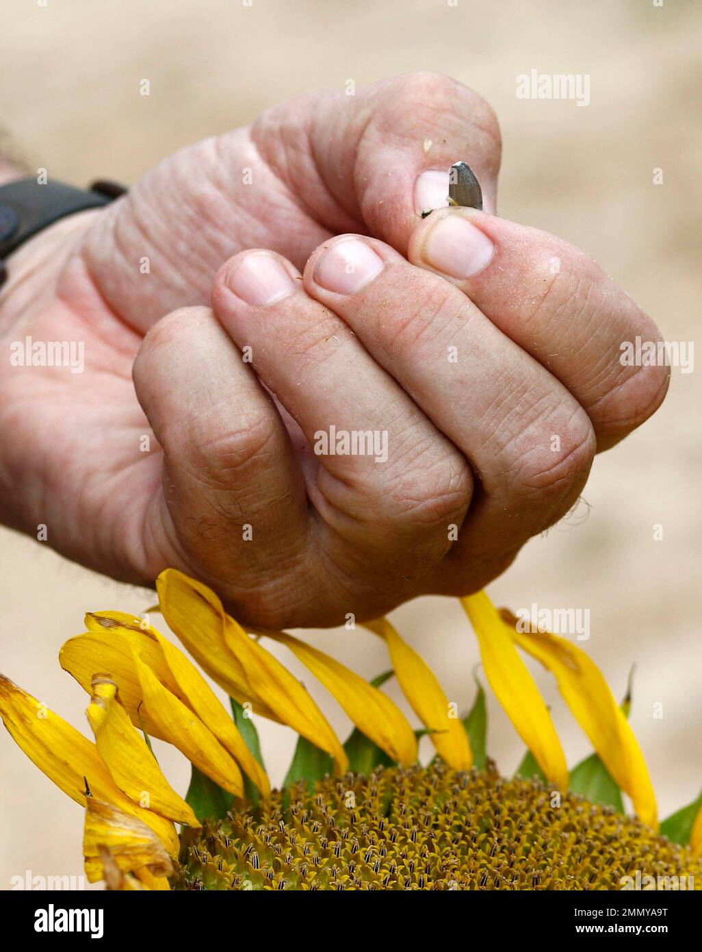 This is a July 13, 2018 photograph of Ted H. Kendall IV of The Gaddis