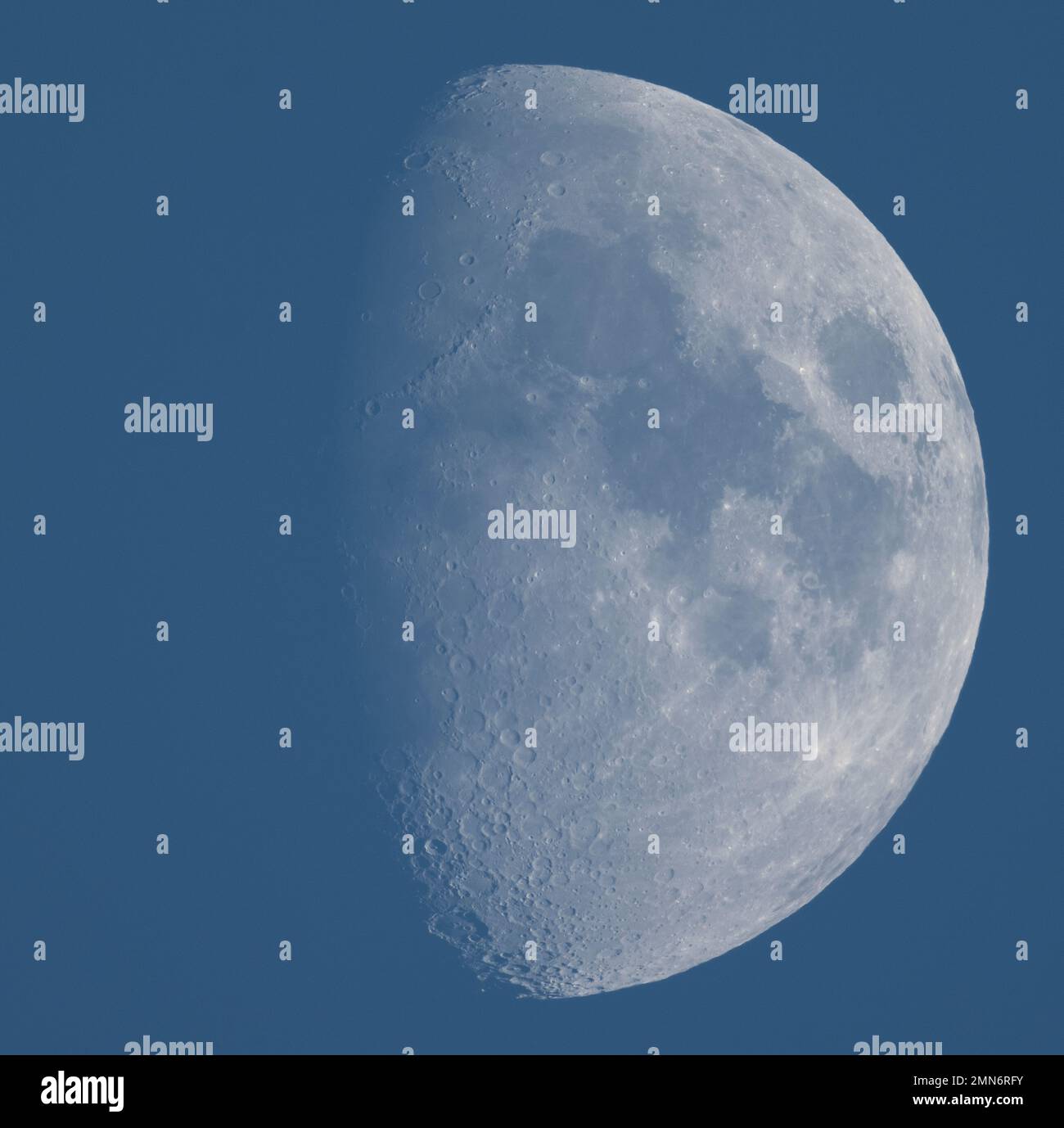 Londres, Reino Unido. 30 de enero de 2023. La luna Gibbous iluminada por el sol en el cielo azul de la tarde con cráteres y cadenas montañosas claramente visibles en el terminador. Crédito: Malcolm Park/Alamy Live News Foto de stock
