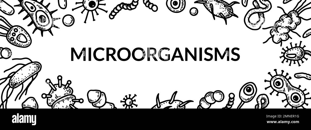 Banner de microbiología. Recogida de diferentes tipos de microorganismos. Ilustración vectorial científica en estilo de boceto Ilustración del Vector