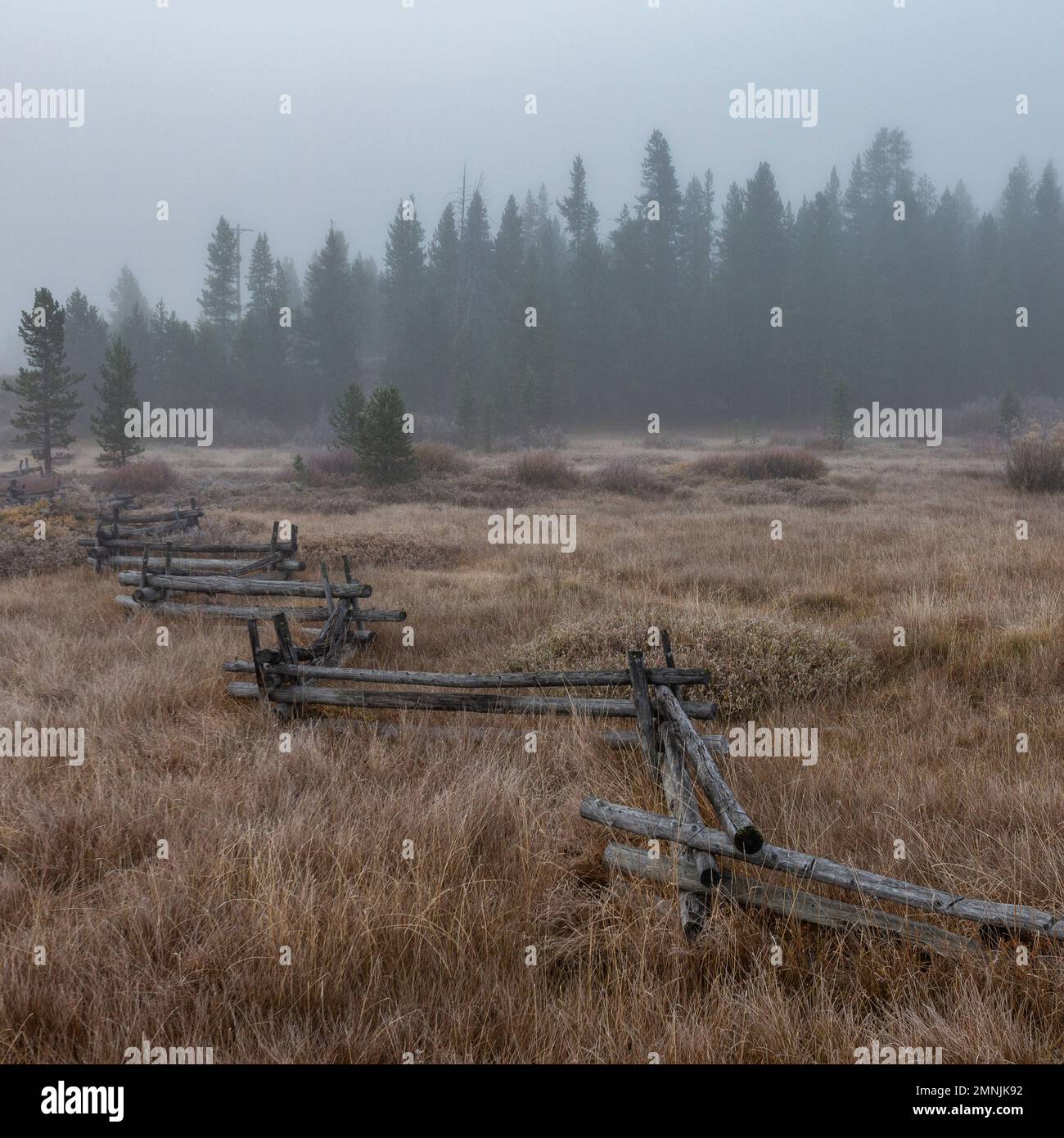 Estados Unidos, Idaho, Stanley, Escena rural con valla ferroviaria y bosque Foto de stock