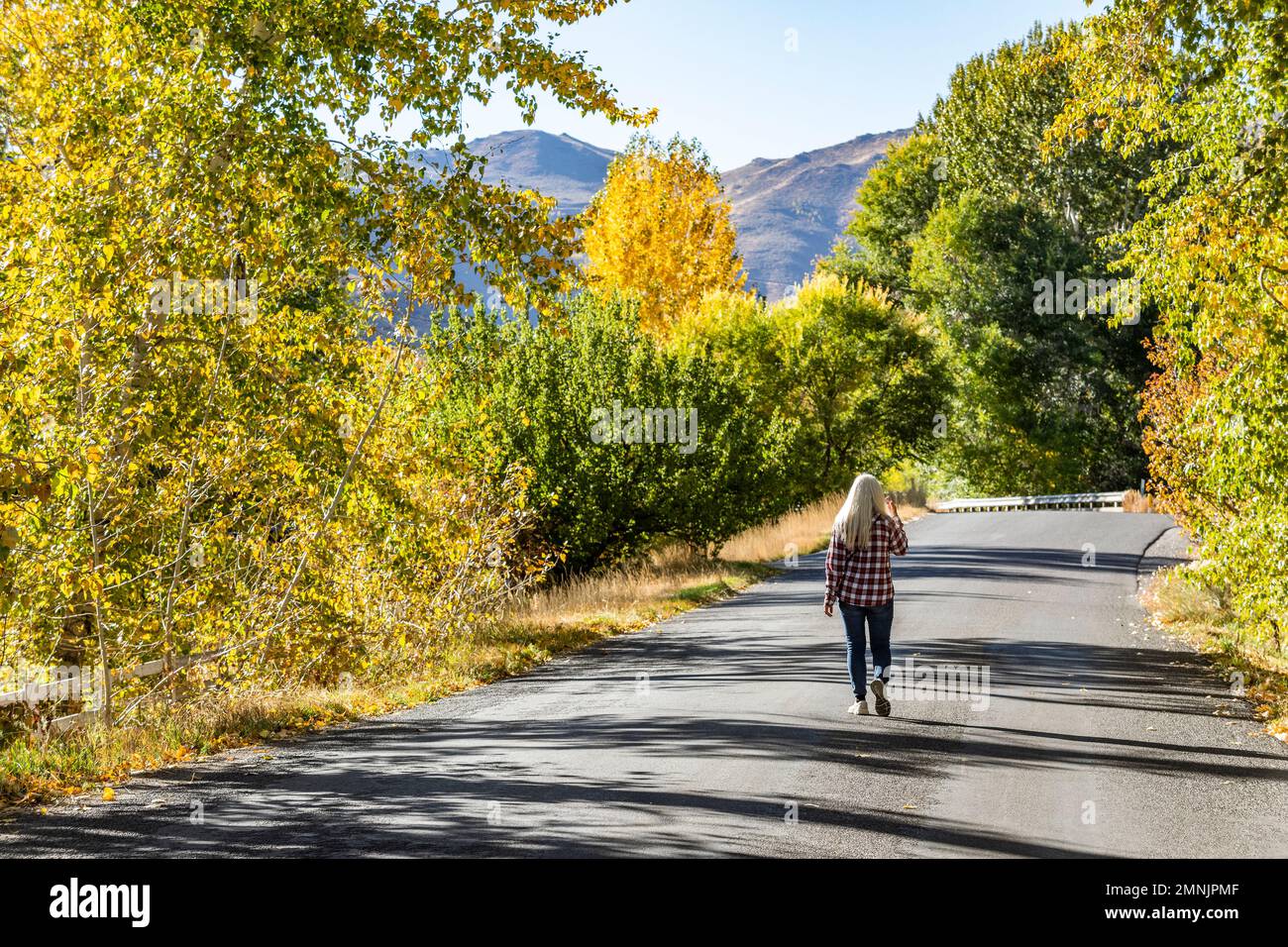 EE.UU., Idaho, Bellevue, Mujer mayor que camina en la carretera rural en otoño Foto de stock