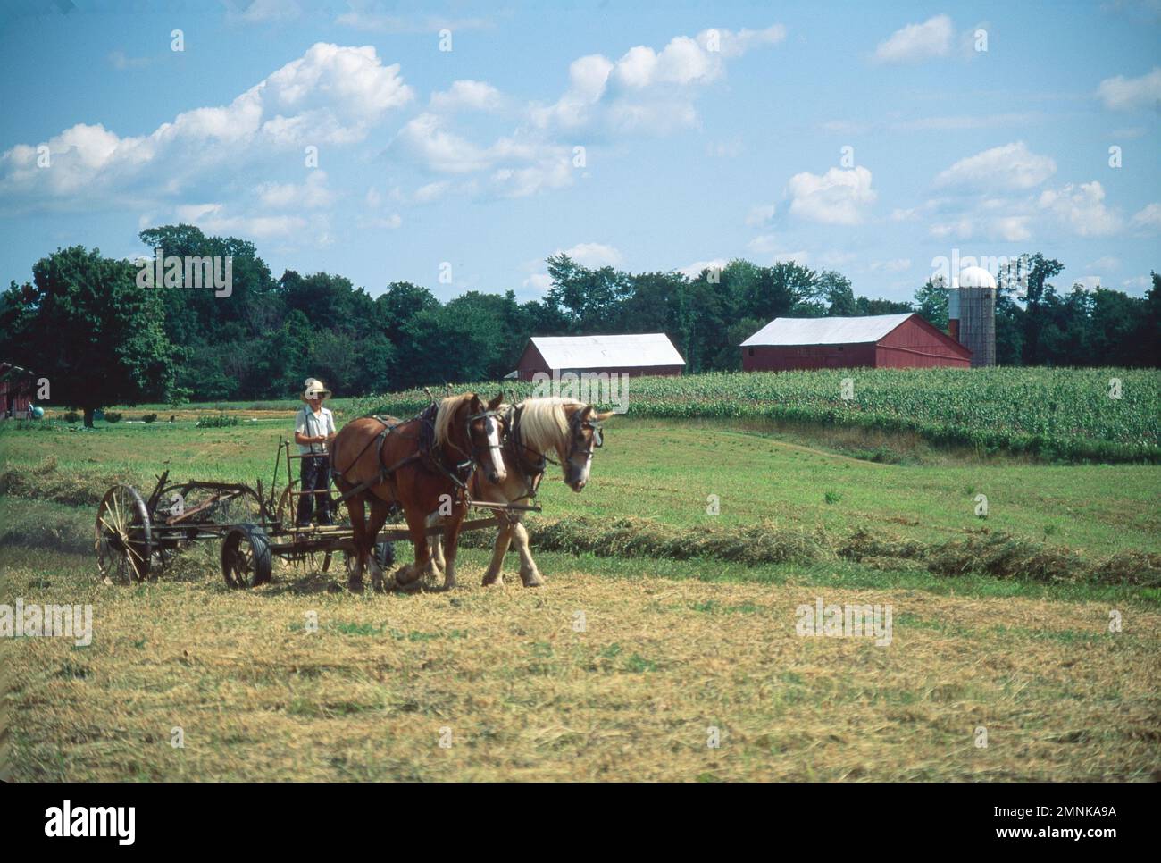 Niño Amish joven montando un pedazo de equipo de granja dibujado por