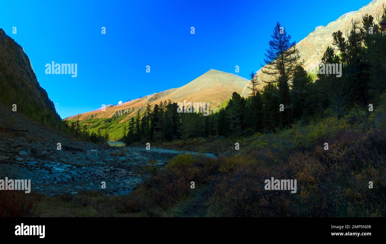 El río entre las piedras fluye desde las alturas de las montañas hacia el lago turquesa Shavlinskoe a la sombra entre las rocas y los bosques en Alt Foto de stock