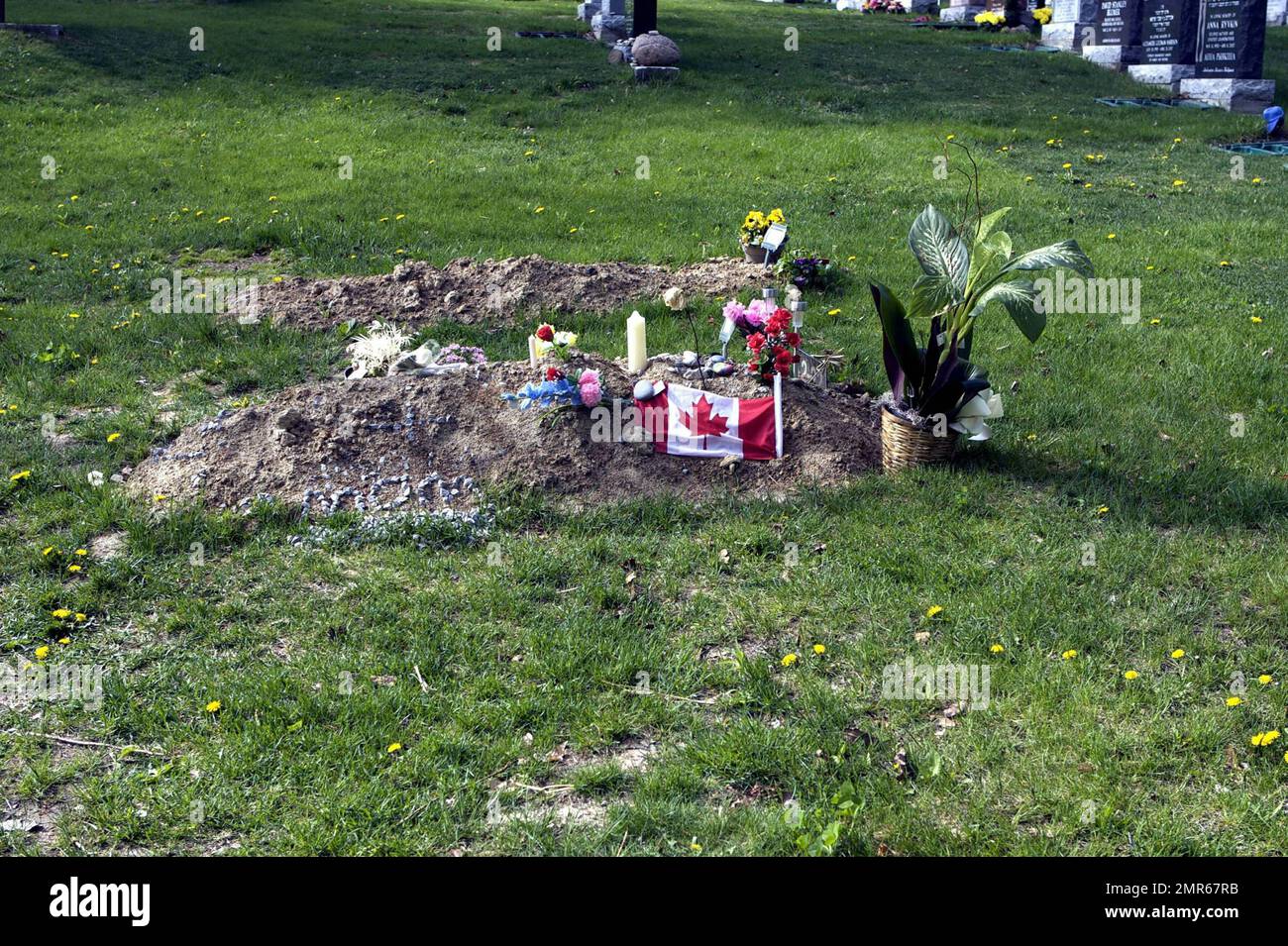 Se ha informado que el actor Corey Haim murió de neumonía complicada