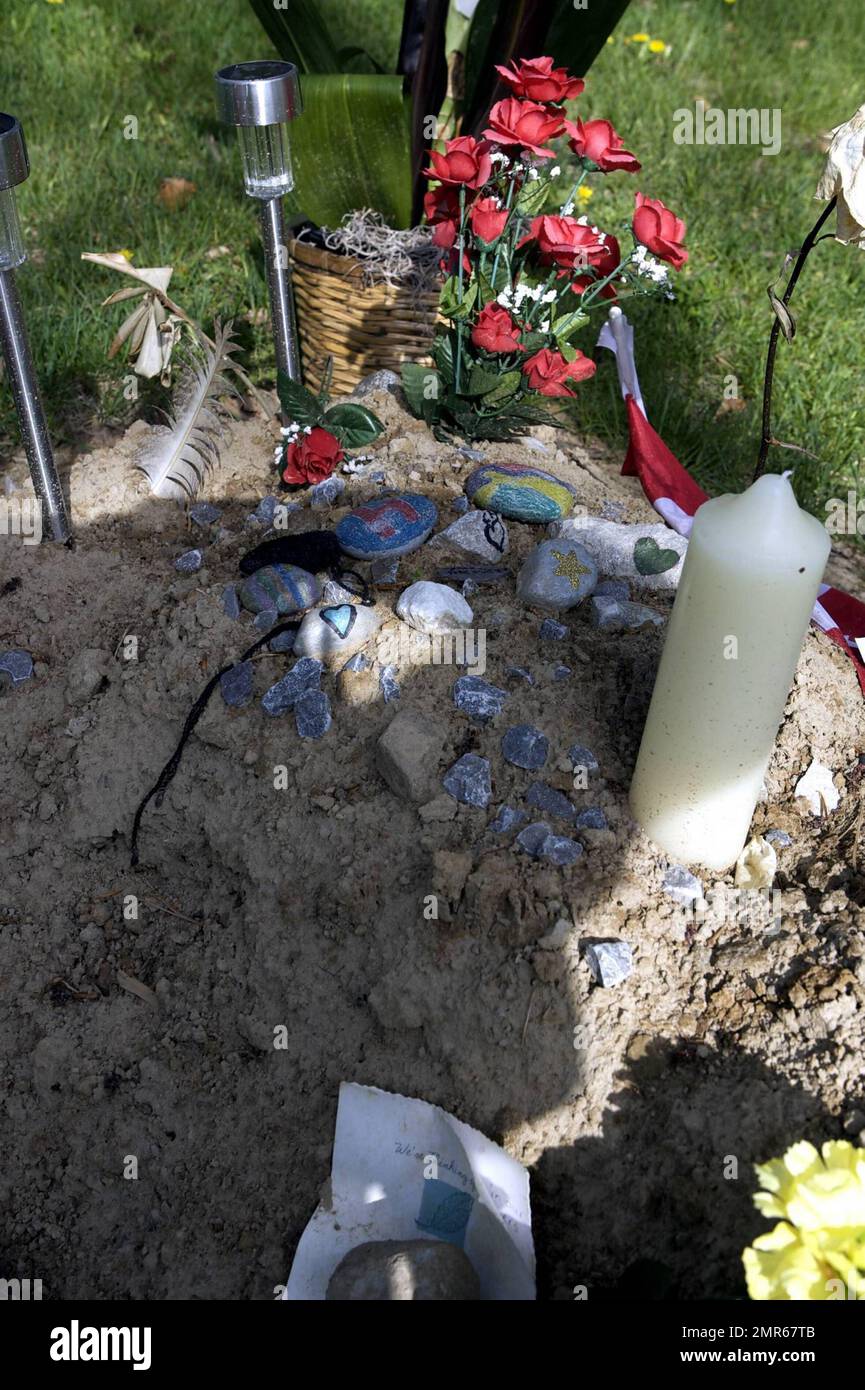 Se ha informado que el actor Corey Haim murió de neumonía complicada