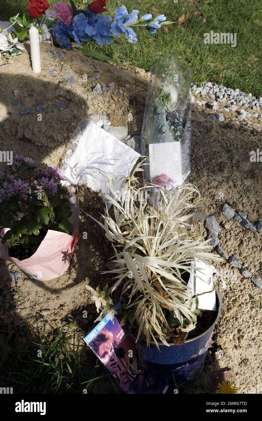 Se ha informado que el actor Corey Haim murió de neumonía complicada