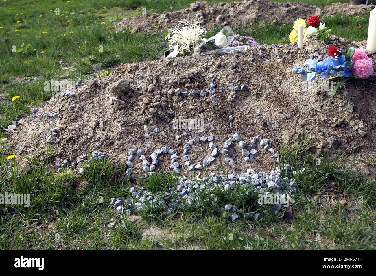 Se ha informado que el actor Corey Haim murió de neumonía complicada