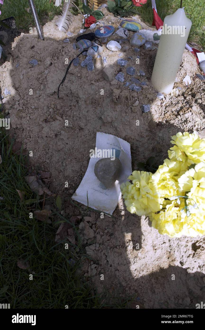 Se ha informado que el actor Corey Haim murió de neumonía complicada